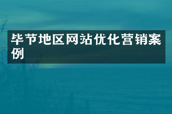 毕节地区网站优化营销案例