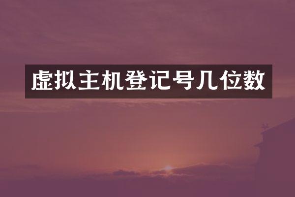 虚拟主机登记号几位数