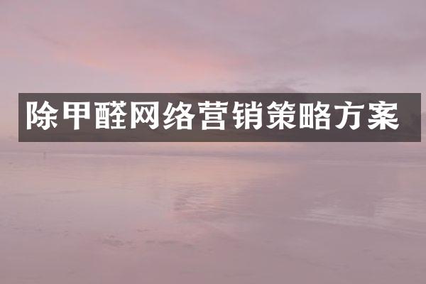 除甲醛网络营销策略方案