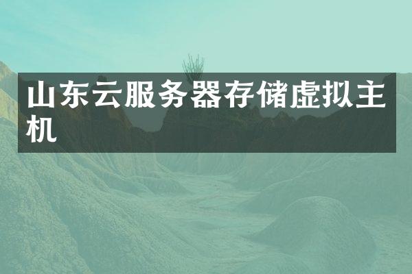 山东云服务器存储虚拟主机