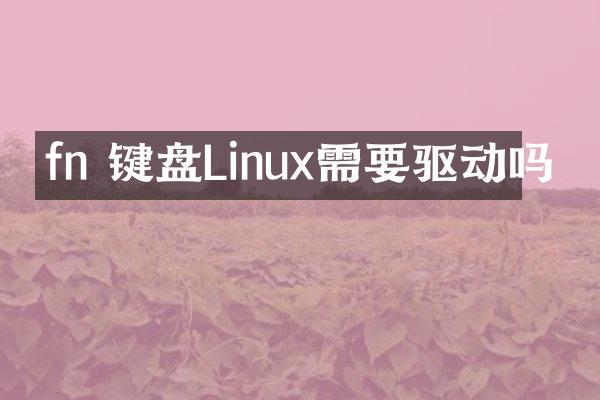fn 键盘Linux需要驱动吗