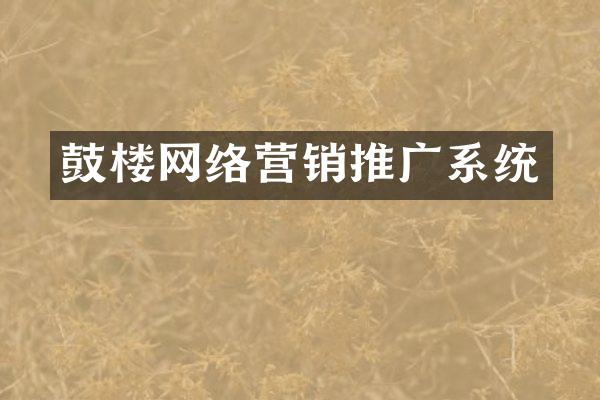 鼓楼网络营销推广系统