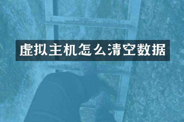 虚拟主机怎么清空数据