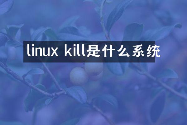 linux kill是什么系统