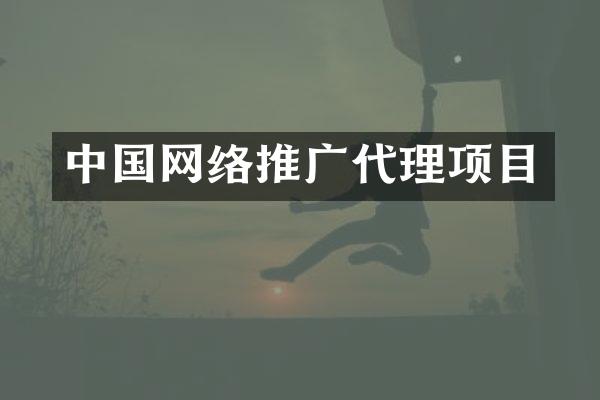 中国网络推广代理项目