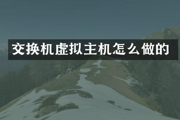 交换机虚拟主机怎么做的