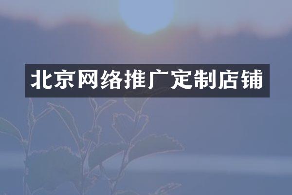 北京网络推广定制店铺