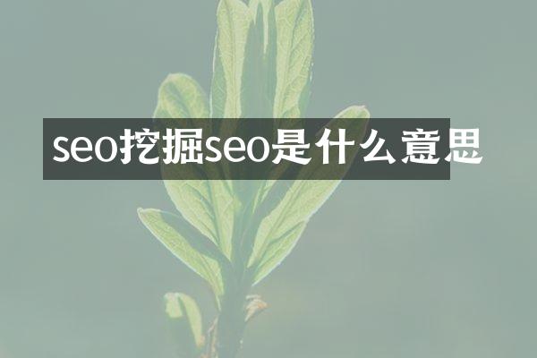 seo挖掘seo是什么意思