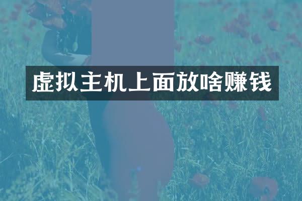 虚拟主机上面放啥赚钱