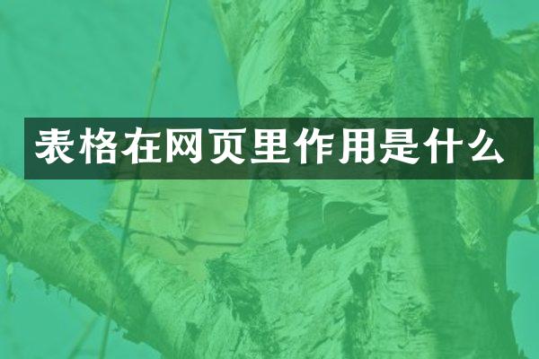 表格在网页里作用是什么
