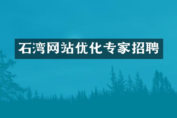 石湾网站优化专家招聘