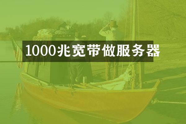 1000兆宽带做服务器