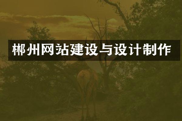 郴州网站建设与设计制作