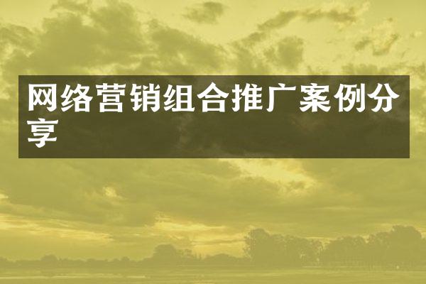 网络营销组合推广案例分享