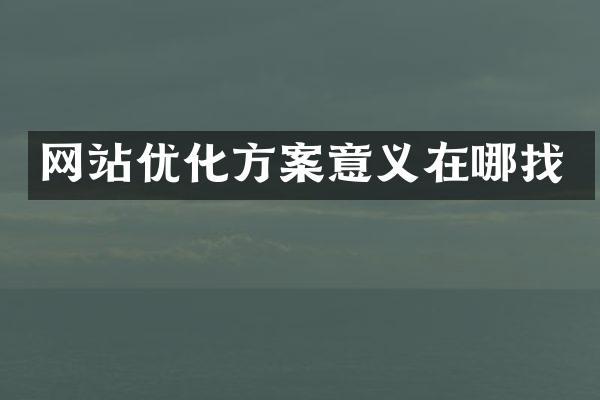 网站优化方案意义在哪找
