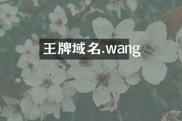 王牌域名.wang