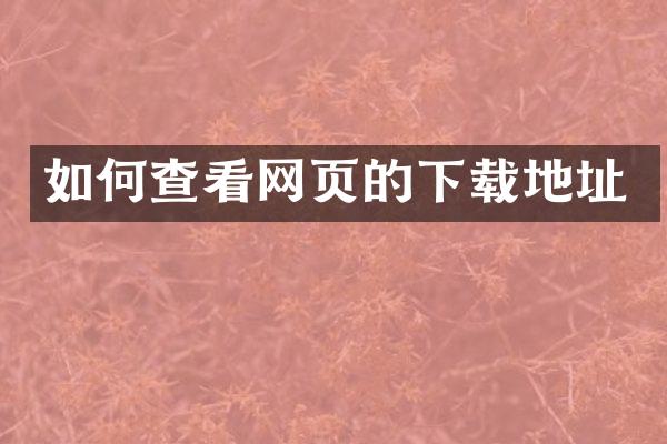 如何查看网页的下载地址