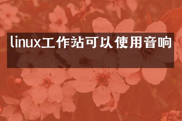 linux工作站可以使用音响吗
