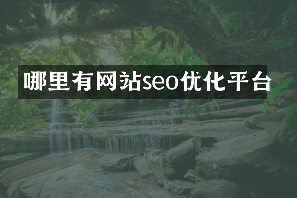 哪里有网站seo优化平台