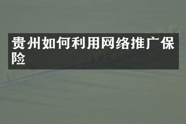 贵州如何利用网络推广保险