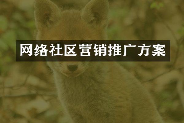 网络社区营销推广方案