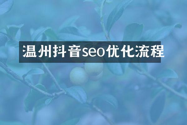 温州抖音seo优化流程
