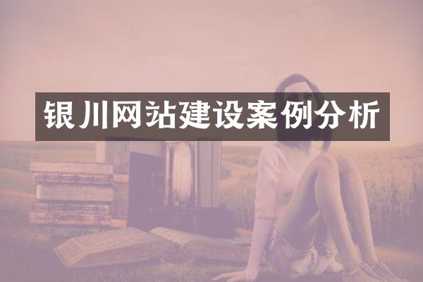 银川网站建设案例分析