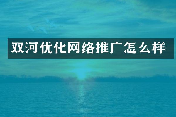双河优化网络推广怎么样