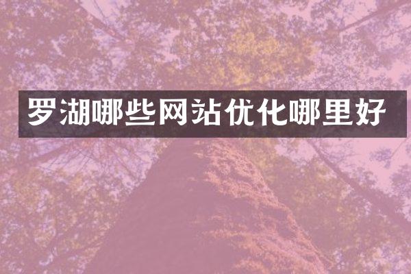罗湖哪些网站优化哪里好