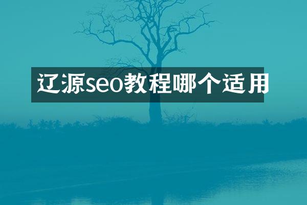 辽源seo教程哪个适用