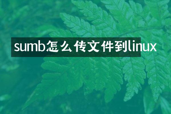 sumb怎么传文件到linux