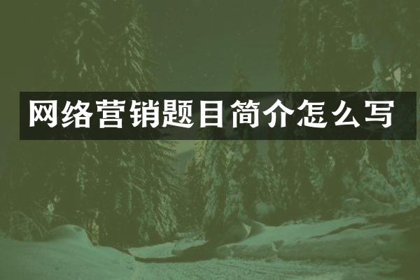 网络营销题目简介怎么写