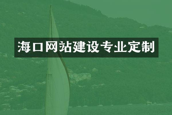 海口网站建设专业定制