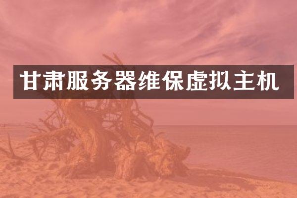 甘肃服务器维保虚拟主机