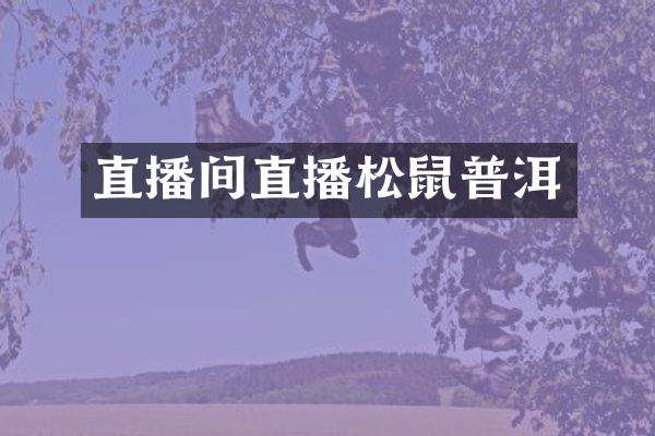 直播间直播松鼠普洱