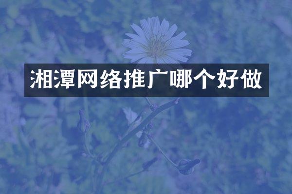 湘潭网络推广哪个好做