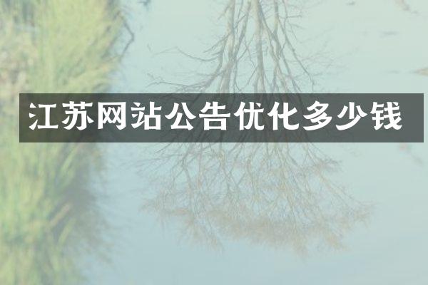 江苏网站公告优化多少钱