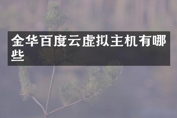 金华百度云虚拟主机有哪些