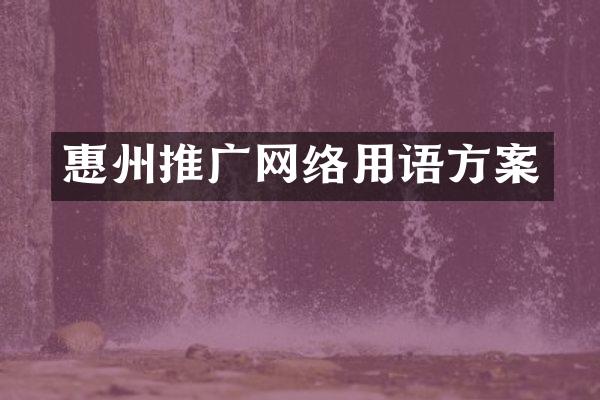 惠州推广网络用语方案