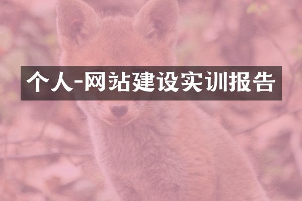 个人-网站建设实训报告