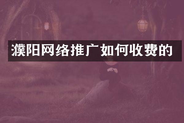 濮阳网络推广如何收费的