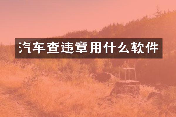 汽车查违章用什么软件