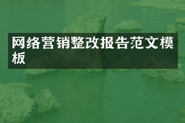 网络营销整改报告范文模板