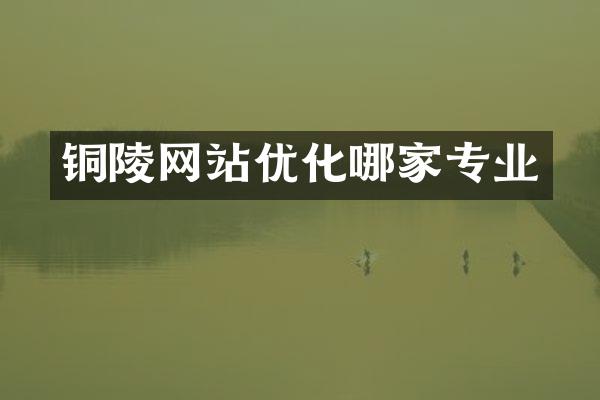 铜陵网站优化哪家专业
