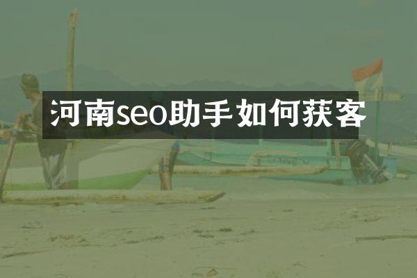 河南seo助手如何获客