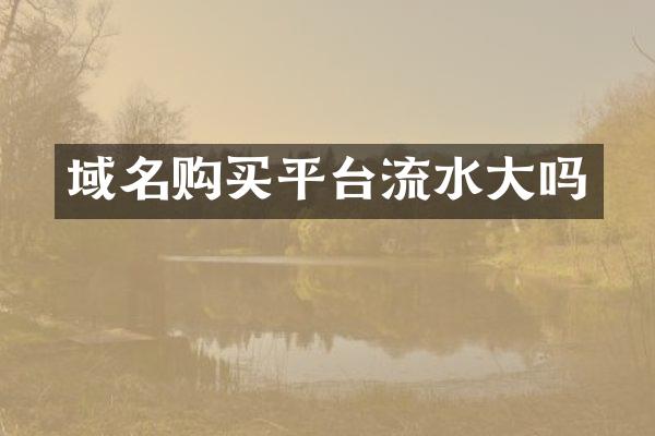 域名购买平台流水大吗