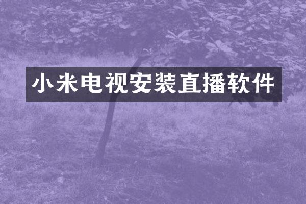 小米电视安装直播软件