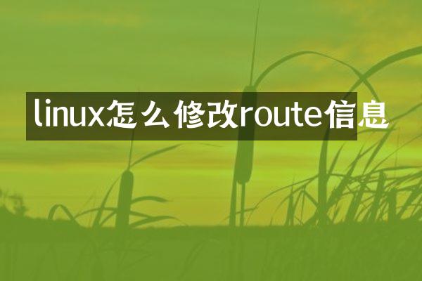 linux怎么修改route信息