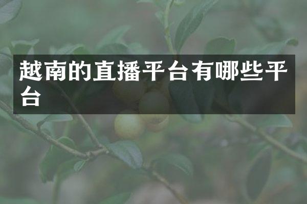越南的直播平台有哪些平台