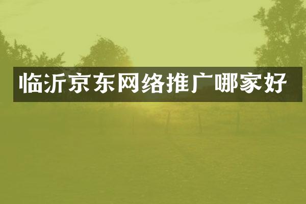 临沂京东网络推广哪家好